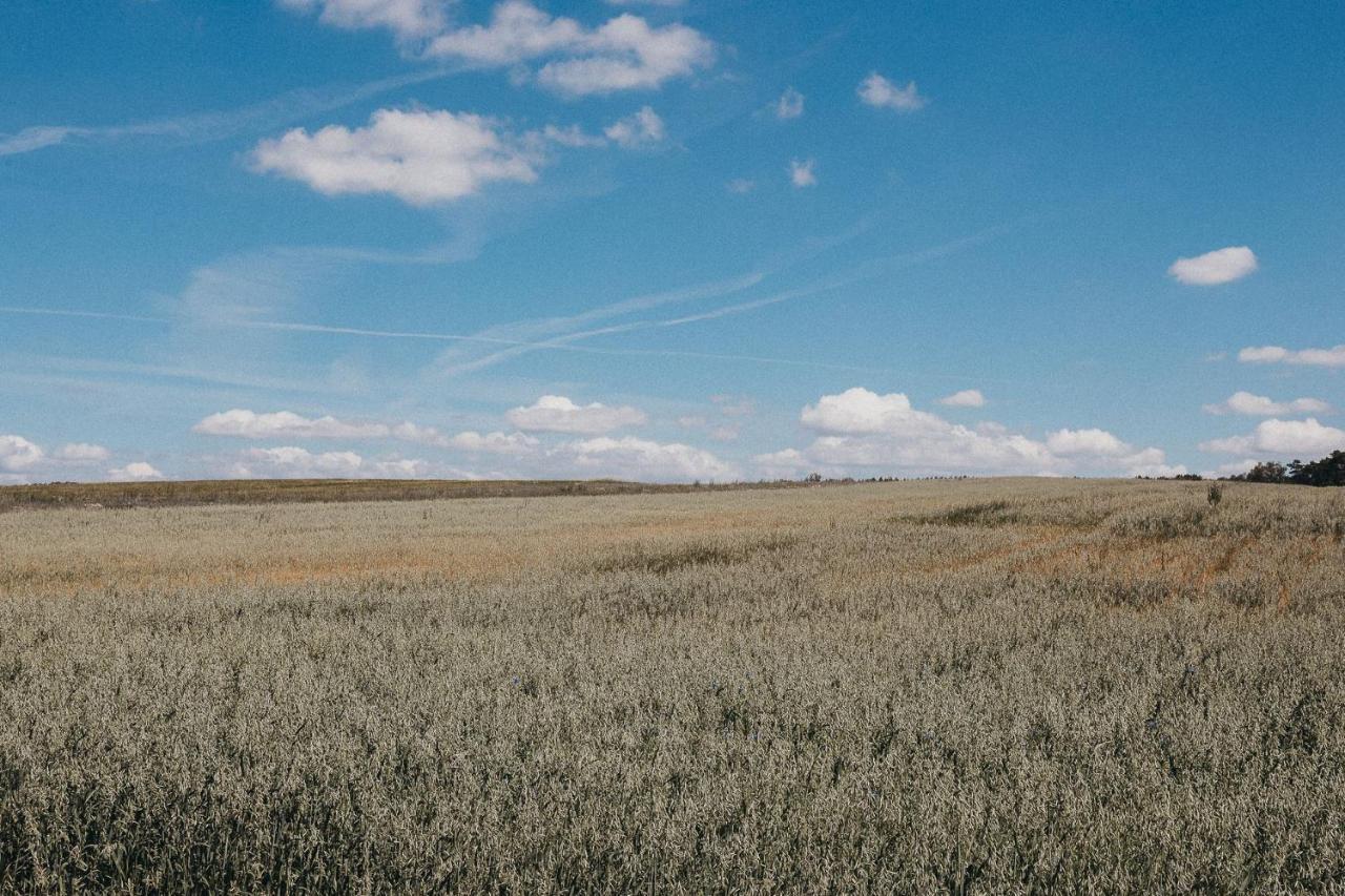 Agroturystyka Pod Debem Łagów Exteriör bild